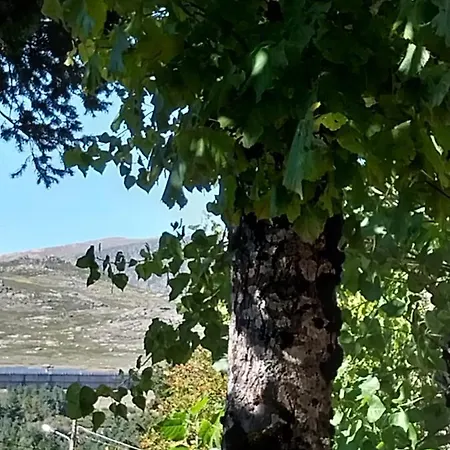 O Cantinho Da Estrela *